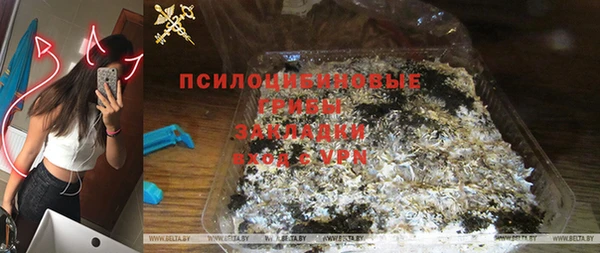 герыч Алексин