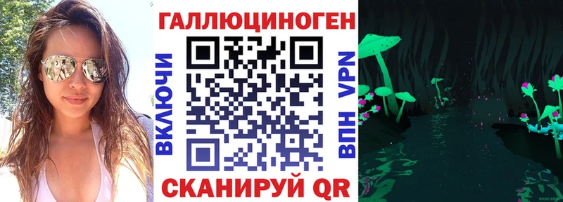 Псилоцибиновые грибы Cubensis  Сыктывкар 